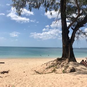 Meet your Posher, Bridget